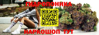 дживик Кандалакша
