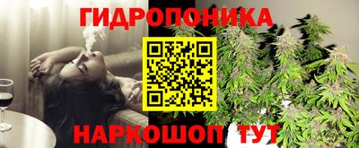 дживик Кандалакша